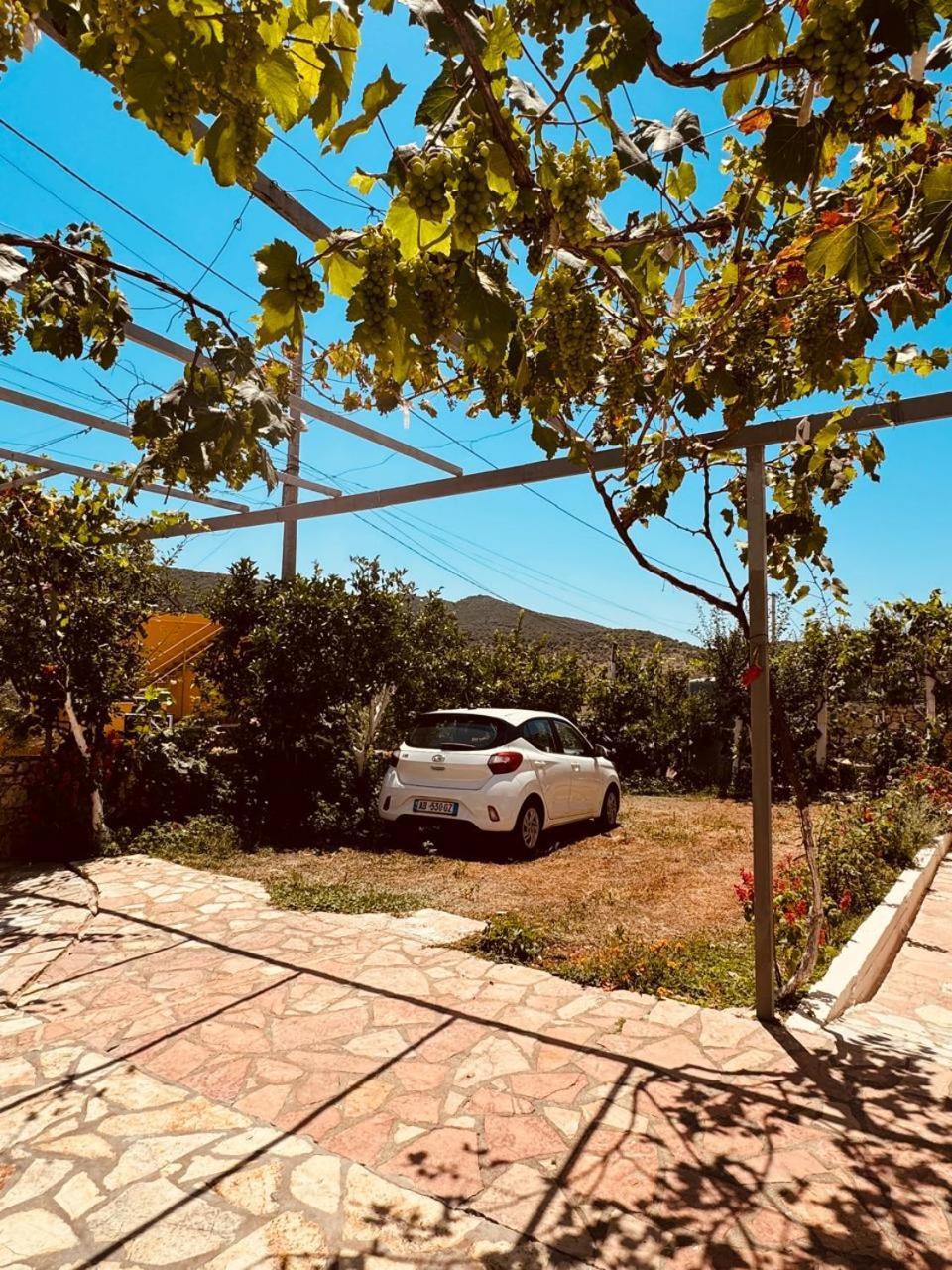 Orfeu Apartments Εξαμίλιο Εξωτερικό φωτογραφία